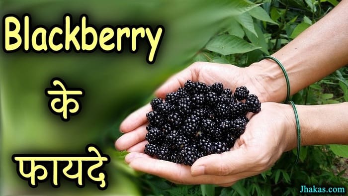 blackberry-meaning-in-hindi-blackberry-ka-matlab-kya-hota-hai