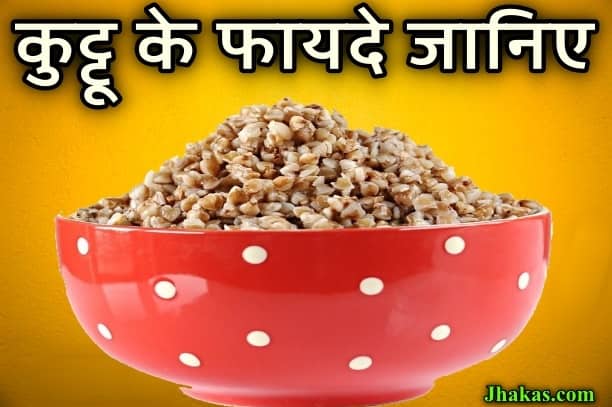 what-is-buckwheat-in-hindi