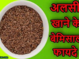 flax seeds in hindi