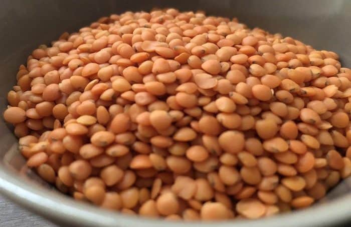 lentils benefits in hindi