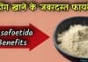 हींग खाने से होते हैं जबरदस्त फायदे | Benefits of Asafoetida in hindi asafoetida in hindi