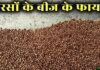 जानिए सरसों के बीज के स्वास्थ्यप्रद लाभ mustard seeds in hindi
