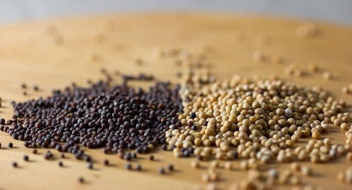 mustard seeds types in hindi