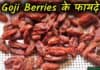 Goji Berries क्या है? जानिए इसे खाने के लाभ और हानि Goji berries in hindi