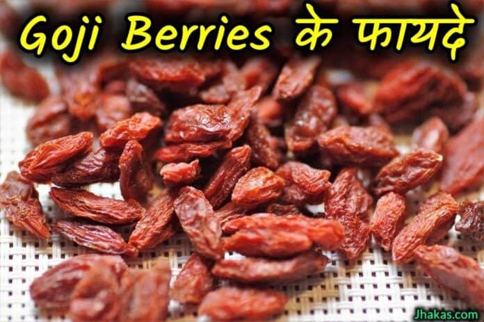 Goji berries in hindi