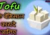 टोफू क्या होता है? जानिए इसके स्वास्थ्यवर्धक फायदे Tofu in hindi