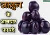 स्वादिष्ट ही नहीं लाभदायक भी है जामुन, जानिए इसके फायदे jamun ke fayde