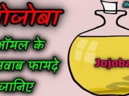 jojoba oil in hindi