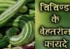 चिचिण्डा क्या है? जानिए इसके बेहतरीन फायदे snake gourd in hindi