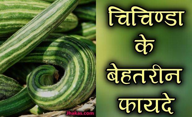snake gourd in hindi