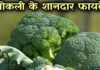 Broccoli क्या होती है? जानिए इसके स्वास्थ्यवर्धक फायदे broccoli in hindi