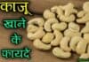 काजू खाने के अनोखे फायदे जानते हैं आप? kaju khane ke fayde