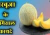 खरबूजा के बेमिसाल फायदे | Super Benefits of Muskmelon in Hindi muskmelon in hindi
