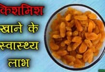 किशमिश के बेमिसाल फायदे | Benefits of Raisins in Hindi raisins in hindi