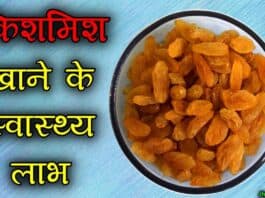 raisins in hindi