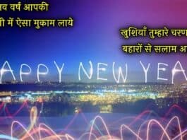 new year shayari in hindi