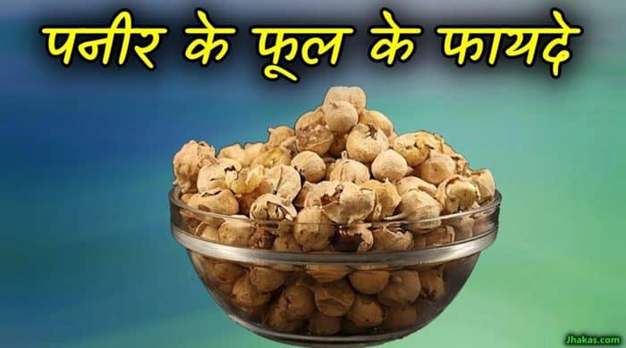Paneer Ke Phool 