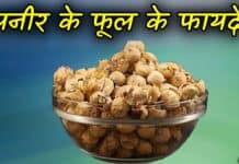 Paneer Ke Phool क्या हैं? जानिए इसके स्वास्थ्यप्रद फायदे paneer ke phool