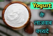 Yogurt क्या है? जानिए इसके लाजवाब फायदे yogurt in hindi
