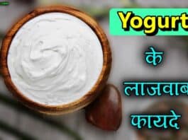 yogurt in hindi