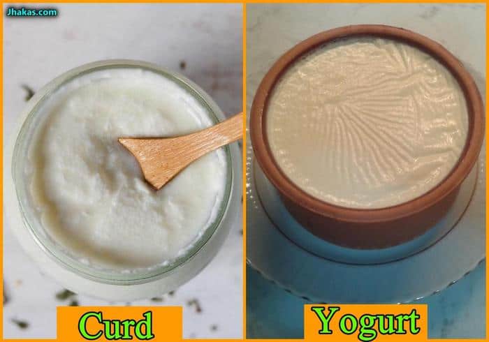 yogurt vs curd