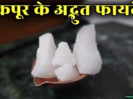 camphor in hindi