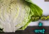 पत्ता गोभी के चौंकाने वाले फायदे | Benefits & Uses of Cabbage in Hindi cabbage in hindi