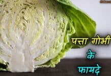 पत्ता गोभी के चौंकाने वाले फायदे | Benefits & Uses of Cabbage in Hindi cabbage in hindi