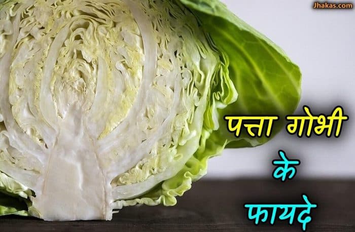 cabbage in hindi