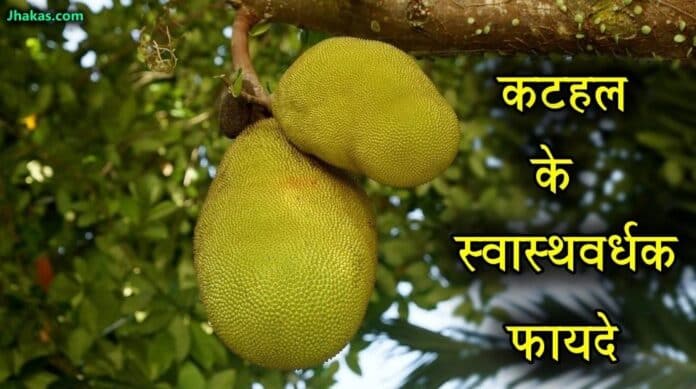 jackfruit in hindi