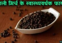 ज़ायका बढ़ाने के साथ ही काली मिर्च के हैं कई फायदे – Benefits of Black Pepper in Hindi black pepper in hindi