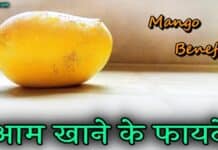 आम के हैरान करने वाले फायदे – Benefits & Uses of Mango in Hindi mango in hindi
