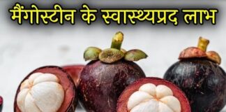 मैंगोस्टीन के स्वास्थ्यप्रद फायदे – Information of Mangosteen in Hindi Mangosteen in hindi