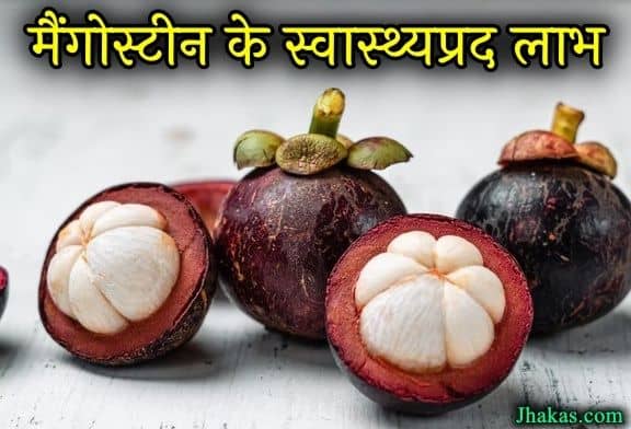 Mangosteen in hindi