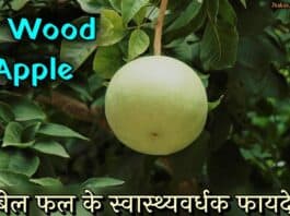 wood apple in hindi