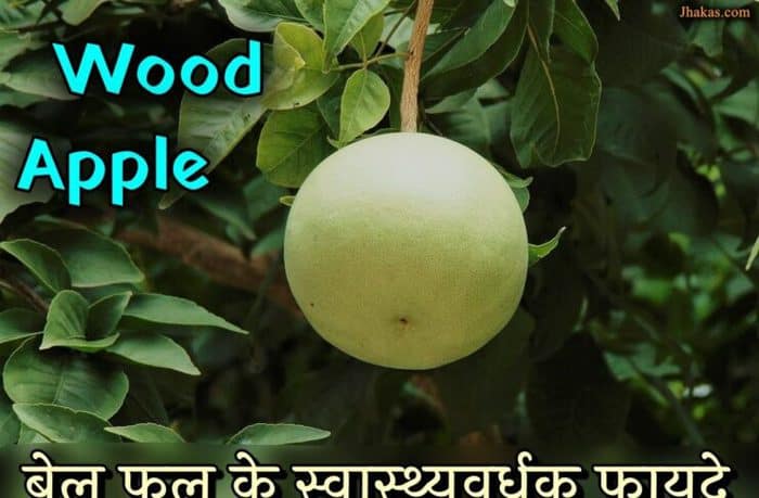 wood apple in hindi