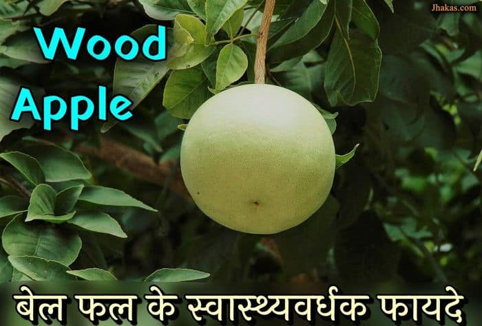 benefits-of-bael-fruit-wood-apple-in-hindi